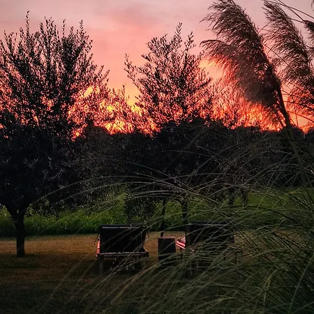 Il Pajo Frühstückspension Padenghe sul Garda