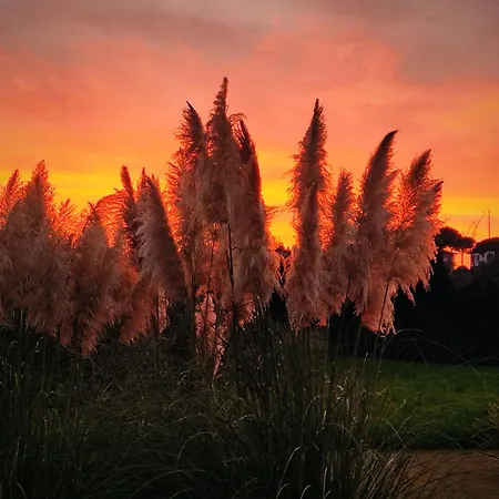 Il Pajo Frühstückspension