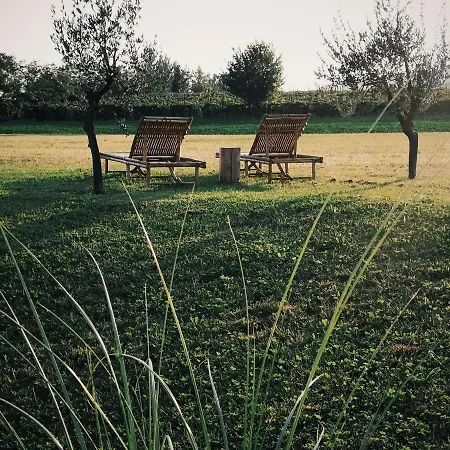 Il Pajo 4*